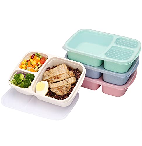 Top 10 Best Compartment Lunch Containers in 2023